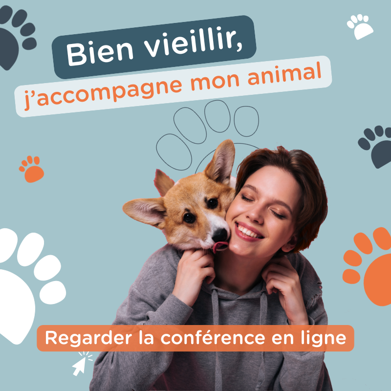affiche webconférence bien accompagner son chien et son chat qui vieillit